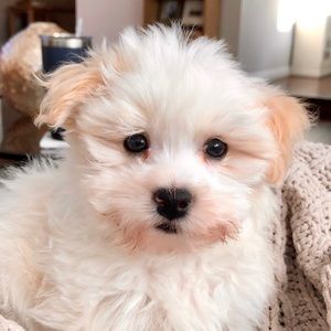 Meet your Posher, Kevin